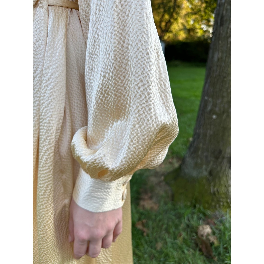 Rachel Comey Hammered Silk Hanley Maxi Dress Cream Adjustable Waist Size 0 BN - Picture 12 of 16